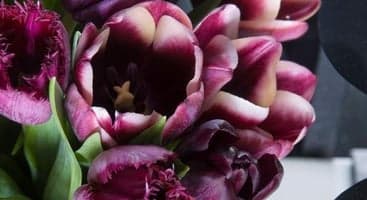 Meld deg inn i Hagelandklubben og få gavekort på 100 kr