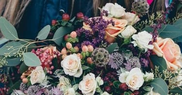 Nå samler du Trumf-bonus hos Mester Grønn