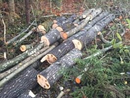 Få gratis ved til oppvarming