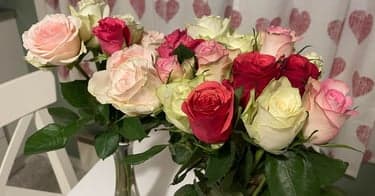 Få en rosebukett fra Plantasjen