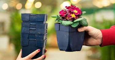 Pant plastpotter fra Plantasjen og få en staude