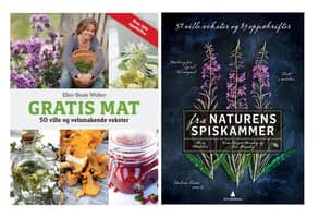 Gratis mat fra naturen - to bokanbefalinger