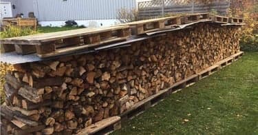 Samle drivved til å fyre med