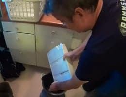 Bruk vannet fra tørketrommelen til stryking, blomster eller doen