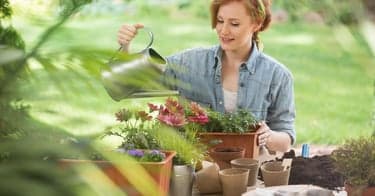 SISTE SJANSE: Vinn gavekort verdt 7500 kroner til Plantasjen