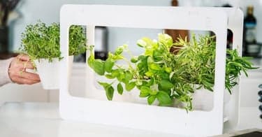 Få Mini Garden som tar bedre vare på krydderurtene dine - verdt 799 kroner