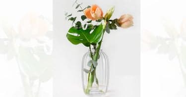 Få Holmegaard vase og tre bøker i velkomstgave