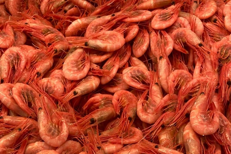 09.04: Har du lyst på reker denne helgen? Sjekk helgetilbudene