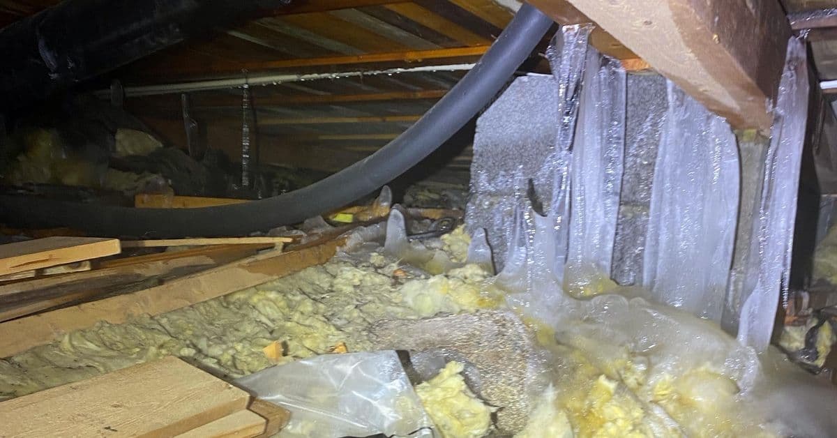 Kulde og strømsparing ga rekordmange frostskader i fjor