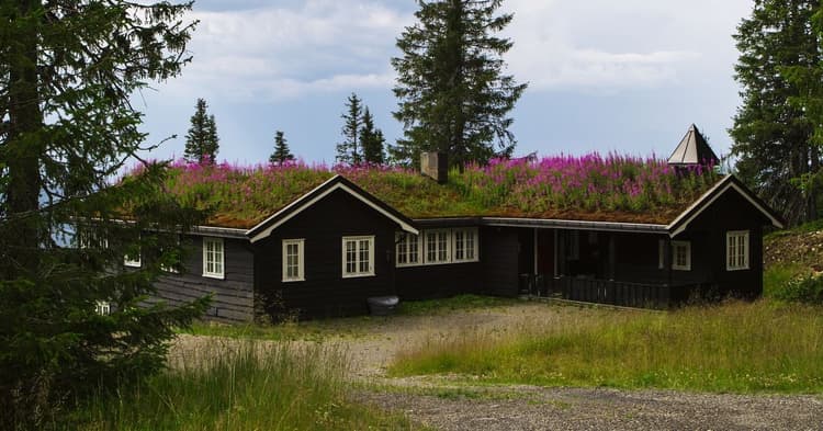 Fastpris på hyttestrømmen kan spare deg for mye penger