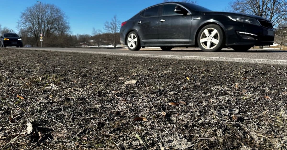 Slik sparer du tusenlapper ved steinsprutskader