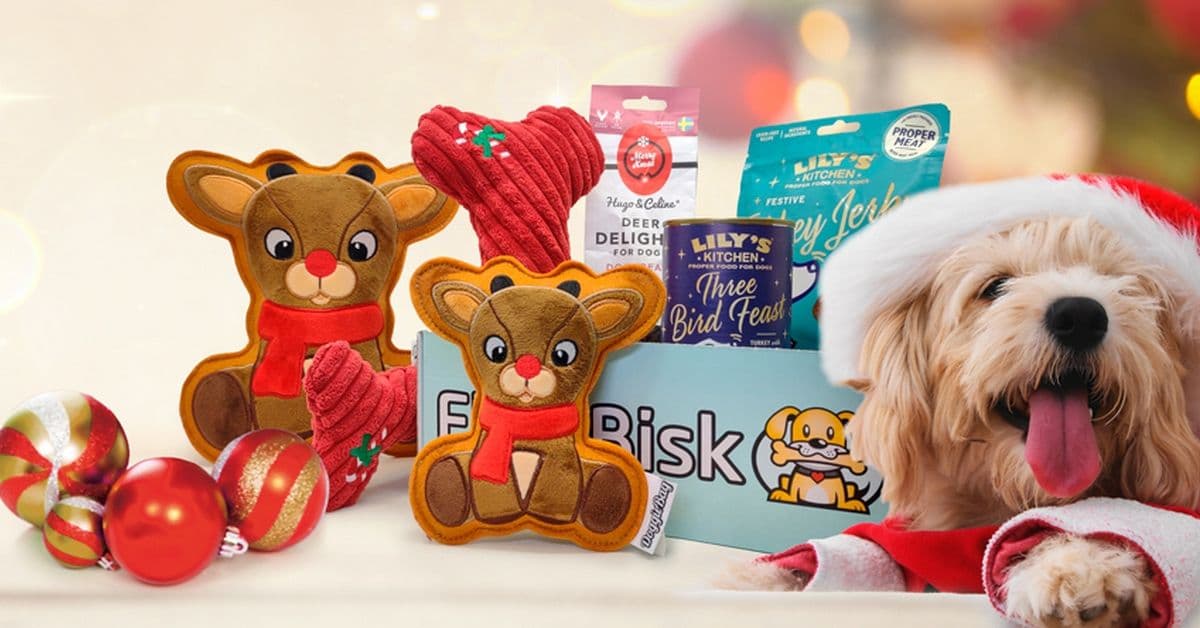 Få gratis julegave til hunden din - verdt ca. 600 kroner
