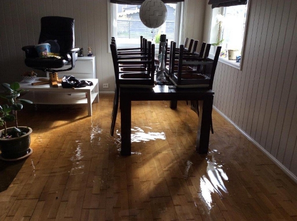 Nå ventes det mye regn i Sør-Norge. Det kan føre til omfattende oversvømmelser og flomskader hos både folk og bedrifter. Foto: Fremtind.