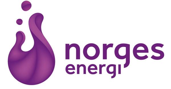 Vinn gratis strøm i ett år fra NorgesEnergi