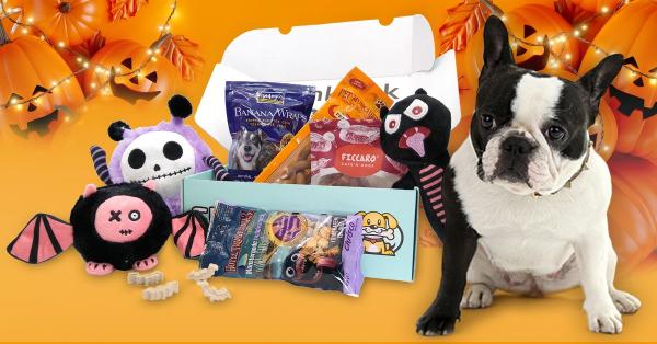 Få Halloween-boks med godsaker verdt over 500 kroner til hunden din
