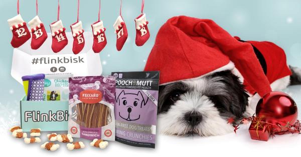 Få julekalender med snacks og moro til hunden din - verdt over 500 kroner