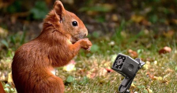 Få 12 grams minikamera til å filme og ta bilder