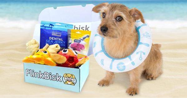 Få gratis sommerferiepakke til hunden