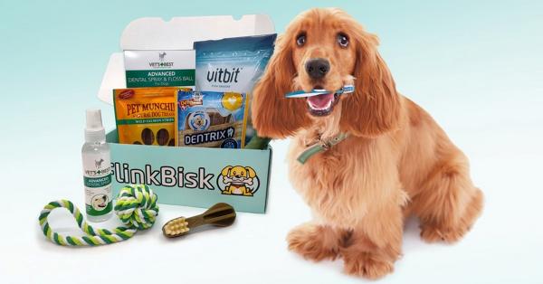 Få gratis tannpusspakke til hunden din - verdi over 500 kroner
