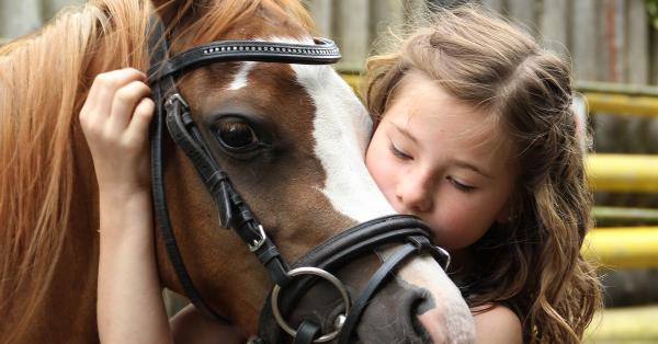 Kjenner du noen som er glad i hest? Sjekk denne velkomstgaven!