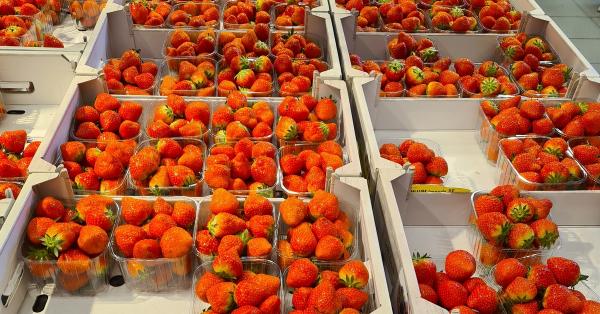 Hvor er jordbærene billigst akkurat i dag?